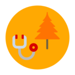 tree health inspection