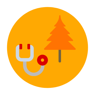 tree health inspection