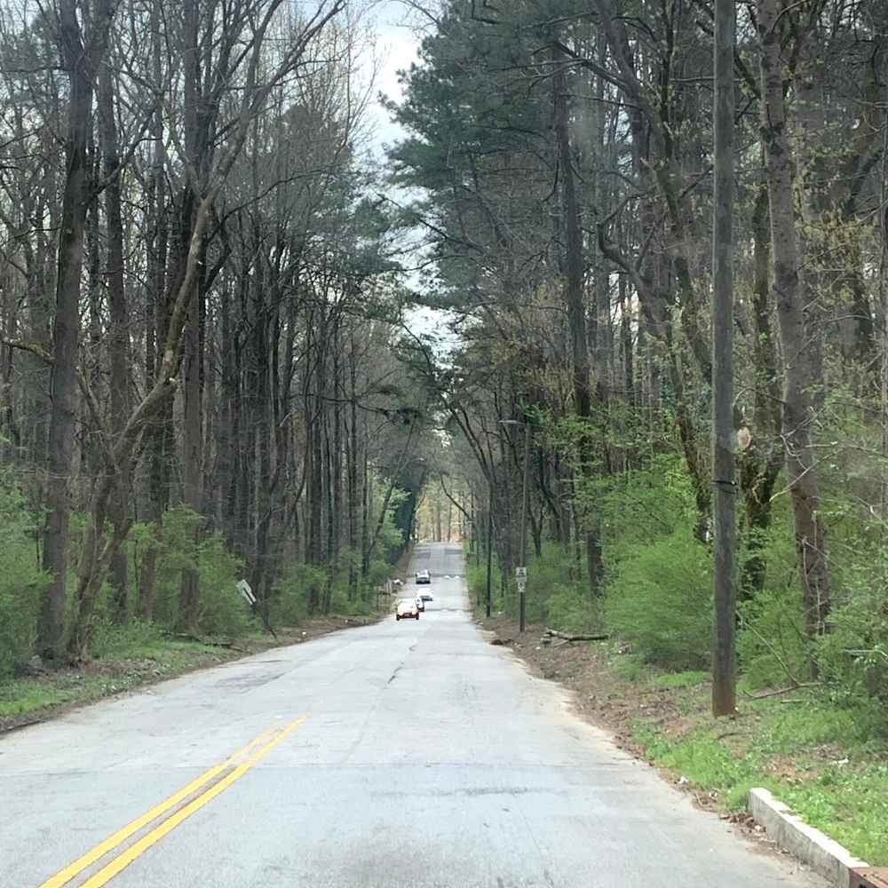 Southwest Atlanta tree canopy